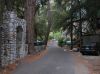 DSCN8550.jpg