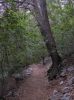 DSCN8579.jpg