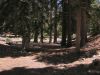 DSCN7991.jpg