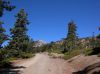 DSCN9542.jpg