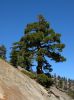 DSCN9590.jpg
