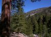 DSCN8088.jpg