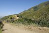 _DSC0376.jpg
